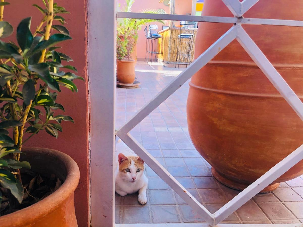 Riad Dihya Marrakesh Buitenkant foto
